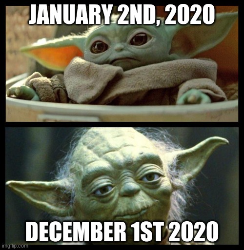 baby yoda | JANUARY 2ND, 2020; DECEMBER 1ST 2020 | image tagged in baby yoda | made w/ Imgflip meme maker