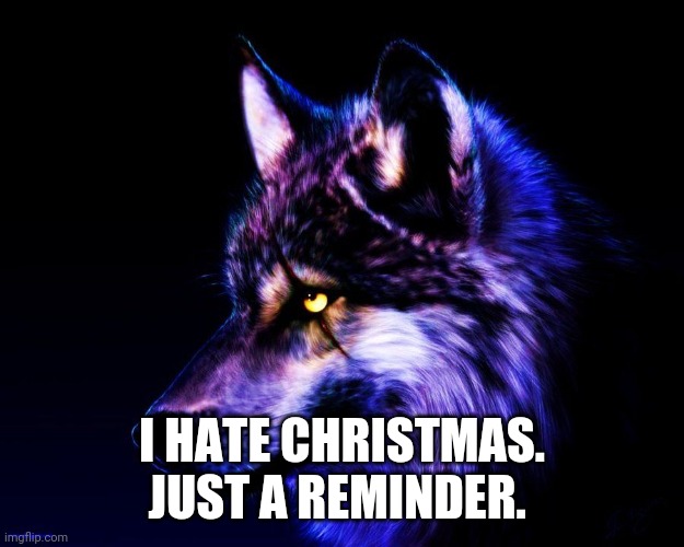 Dont mess with meh. Its my spirit animal | I HATE CHRISTMAS. JUST A REMINDER. | image tagged in dont mess with meh its my spirit animal | made w/ Imgflip meme maker