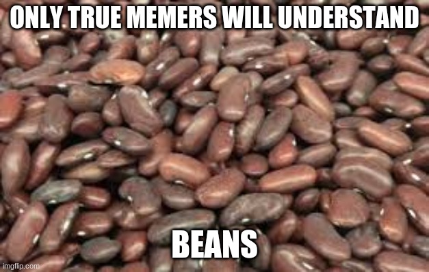 Beans2:Electric Bogaloo | ONLY TRUE MEMERS WILL UNDERSTAND; BEANS | image tagged in beans | made w/ Imgflip meme maker