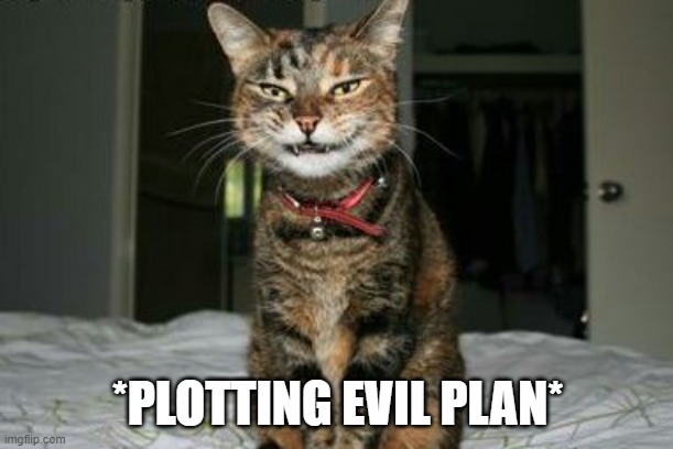 Evil Smile Cat | *PLOTTING EVIL PLAN* | image tagged in evil smile cat | made w/ Imgflip meme maker