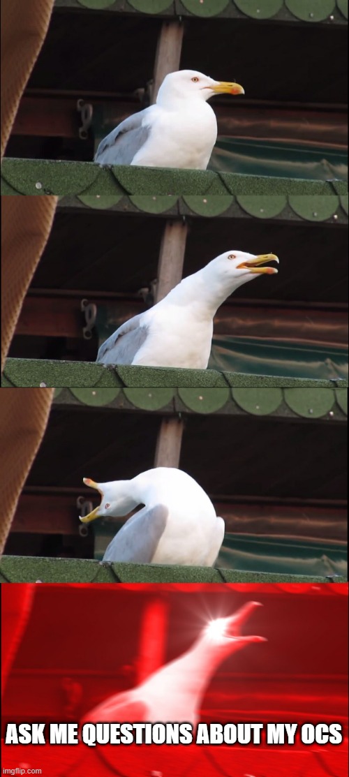 Inhaling Seagull Meme | ASK ME QUESTIONS ABOUT MY OCS | image tagged in memes,inhaling seagull | made w/ Imgflip meme maker