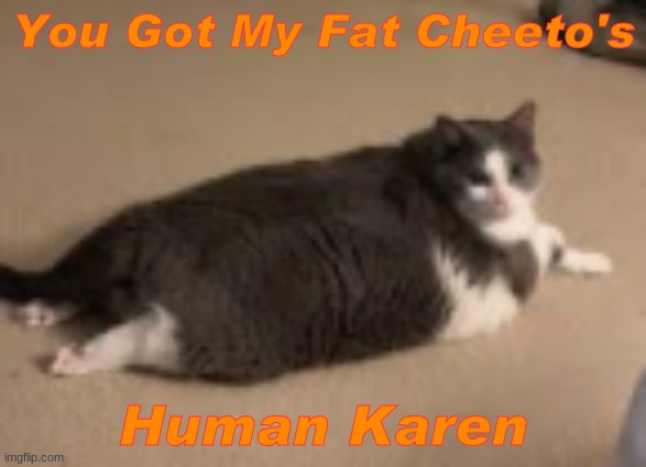 cheeto's | You Got My Fat Cheeto's; Human Karen | image tagged in karen,cheetos | made w/ Imgflip meme maker