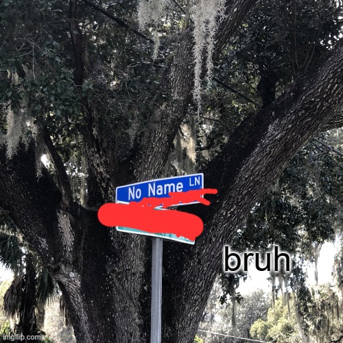 BRUH why? | bruh | image tagged in no name ln | made w/ Imgflip meme maker