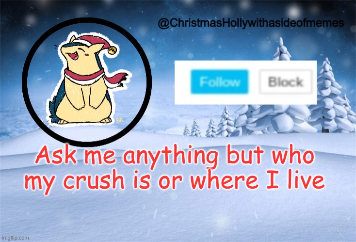 christmas holly | Ask me anything but who my crush is or where I live | image tagged in christmas holly | made w/ Imgflip meme maker