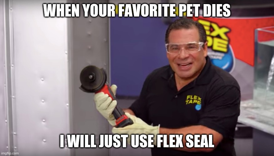 WHEN YOUR FAVORITE PET DIES; I WILL JUST USE FLEX SEAL | image tagged in memes | made w/ Imgflip meme maker