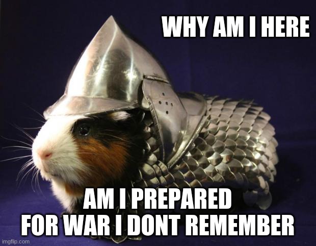 Yes you are | WHY AM I HERE; AM I PREPARED FOR WAR I DONT REMEMBER | image tagged in memes | made w/ Imgflip meme maker