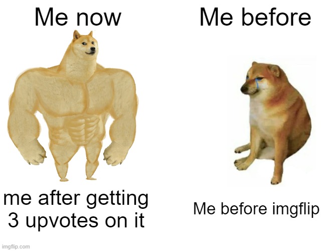 Buff Doge vs. Cheems | Me now; Me before; me after getting 3 upvotes on it; Me before imgflip | image tagged in memes,buff doge vs cheems | made w/ Imgflip meme maker