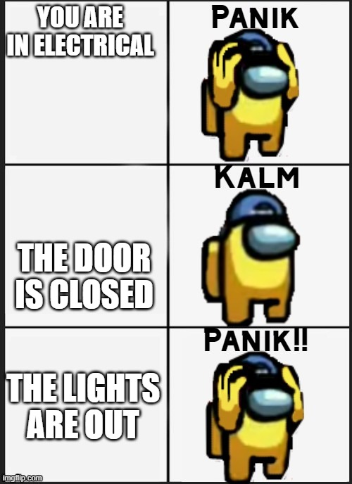 Among us Panik | YOU ARE IN ELECTRICAL; THE DOOR IS CLOSED; THE LIGHTS ARE OUT | image tagged in among us panik | made w/ Imgflip meme maker