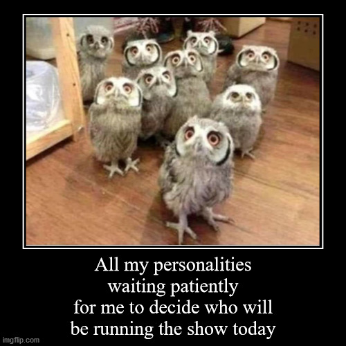 multiple personality | image tagged in funny,demotivationals,many owls | made w/ Imgflip demotivational maker