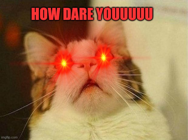 catttttttttttttttttttttttttttttttttttttttttttttt | HOW DARE YOUUUUU | image tagged in scared cat | made w/ Imgflip meme maker