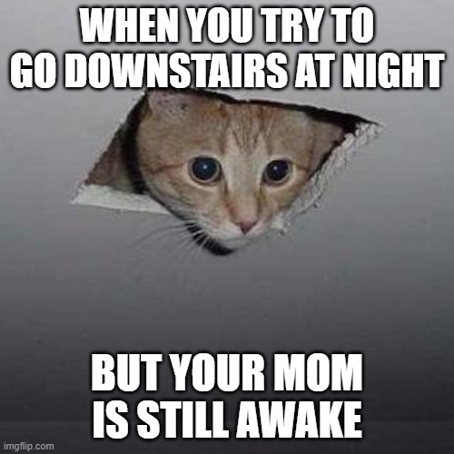 Ceiling Cat | WHEN YOU TRY TO GO DOWNSTAIRS AT NIGHT; BUT YOUR MOM IS STILL AWAKE | image tagged in memes,ceiling cat | made w/ Imgflip meme maker