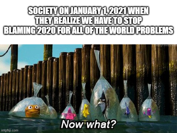 Now What? | SOCIETY ON JANUARY 1, 2021 WHEN THEY REALIZE WE HAVE TO STOP BLAMING 2020 FOR ALL OF THE WORLD PROBLEMS | image tagged in now what,2020,2021 | made w/ Imgflip meme maker