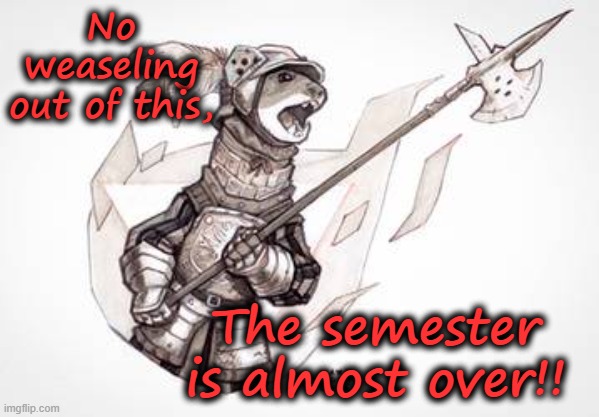 Angry Weasel | No weaseling out of this, The semester is almost over!! | image tagged in angry weasel | made w/ Imgflip meme maker