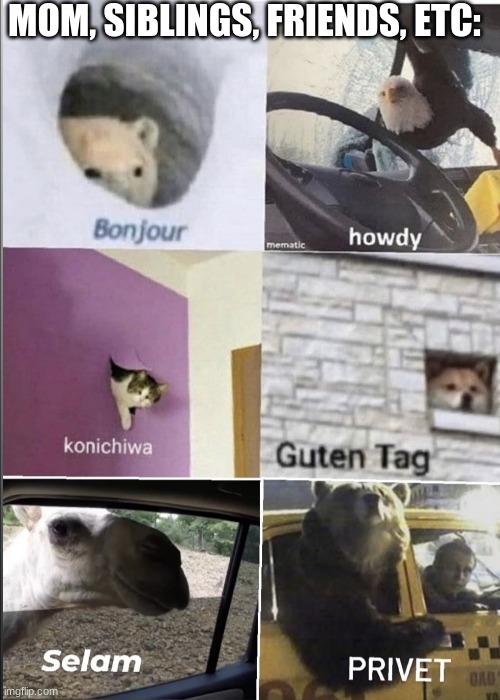 Bonjour howdy konichiwa guten tag Selam privet | MOM, SIBLINGS, FRIENDS, ETC: | image tagged in bonjour howdy konichiwa guten tag selam privet | made w/ Imgflip meme maker