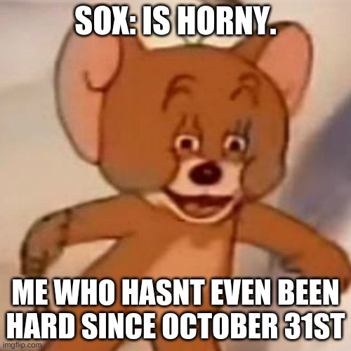 i deserve extra NNN points for that | SOX: IS HORNY. ME WHO HASNT EVEN BEEN HARD SINCE OCTOBER 31ST | image tagged in polish jerry | made w/ Imgflip meme maker