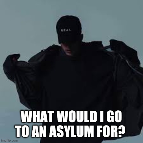 NFs template | WHAT WOULD I GO TO AN ASYLUM FOR? | image tagged in nfs template | made w/ Imgflip meme maker