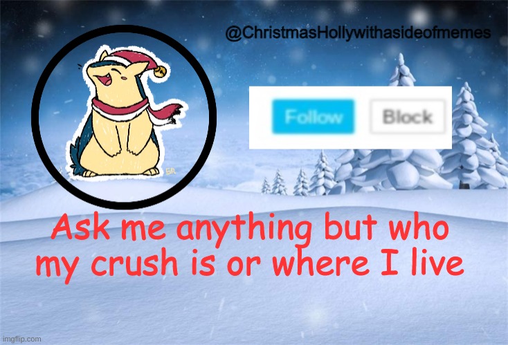 christmas holly | Ask me anything but who my crush is or where I live | image tagged in christmas holly | made w/ Imgflip meme maker