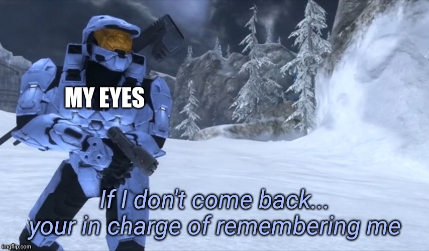 If I don't come back | MY EYES | image tagged in if i don't come back | made w/ Imgflip meme maker