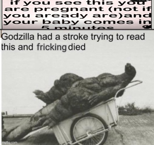 Godzilla had a stroke trying to read this and fricking died Imgflip