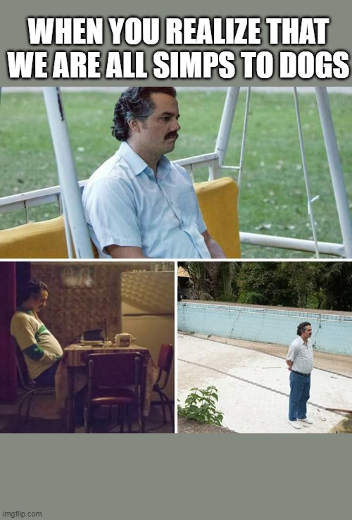 Sad Pablo Escobar | WHEN YOU REALIZE THAT WE ARE ALL SIMPS TO DOGS | image tagged in memes,sad pablo escobar | made w/ Imgflip meme maker