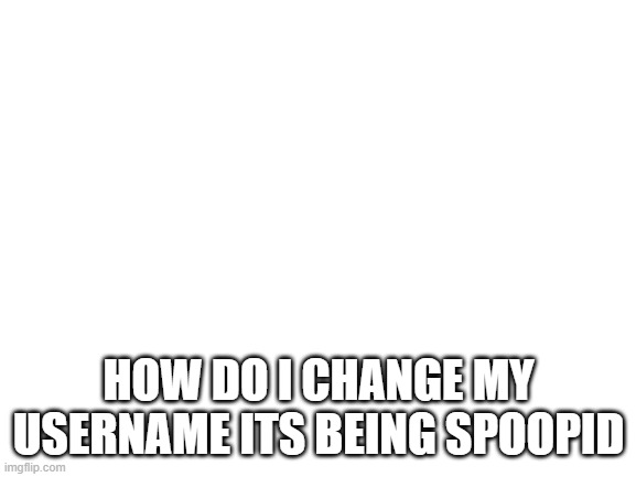 Blank White Template | HOW DO I CHANGE MY USERNAME ITS BEING SPOOPID | image tagged in blank white template | made w/ Imgflip meme maker