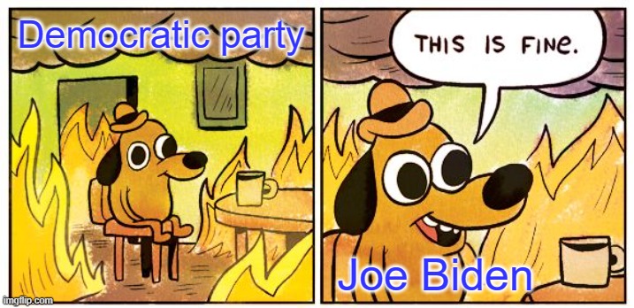 Outrage | Democratic party; Joe Biden | image tagged in memes,this is fine | made w/ Imgflip meme maker