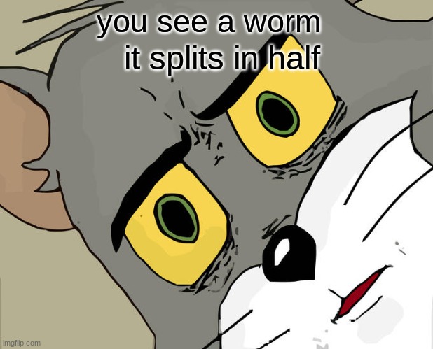 Unsettled Tom Meme | you see a worm; it splits in half | image tagged in memes,unsettled tom | made w/ Imgflip meme maker