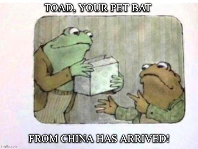 Frog & Toad | TOAD, YOUR PET BAT; FROM CHINA HAS ARRIVED! | image tagged in china,pet,bat,frog,toad | made w/ Imgflip meme maker