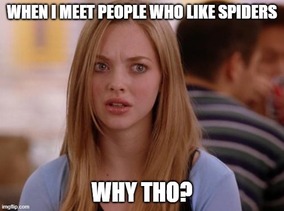 OMG Karen Meme | WHEN I MEET PEOPLE WHO LIKE SPIDERS; WHY THO? | image tagged in memes,omg karen | made w/ Imgflip meme maker