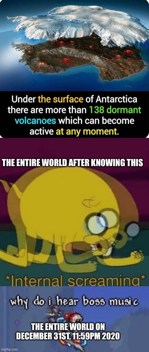 Dear god | THE ENTIRE WORLD AFTER KNOWING THIS; THE ENTIRE WORLD ON DECEMBER 31ST, 11:59PM 2020 | image tagged in internal screaming | made w/ Imgflip meme maker