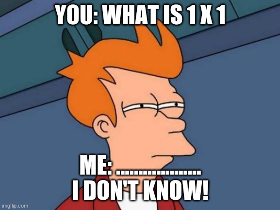 Futurama Fry | YOU: WHAT IS 1 X 1; ME: ................... I DON'T KNOW! | image tagged in memes,futurama fry | made w/ Imgflip meme maker