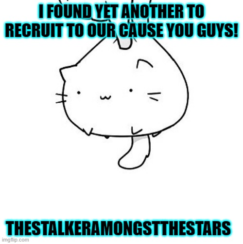 yeetskies | I FOUND YET ANOTHER TO RECRUIT TO OUR CAUSE YOU GUYS! THESTALKERAMONGSTTHESTARS | image tagged in cat | made w/ Imgflip meme maker