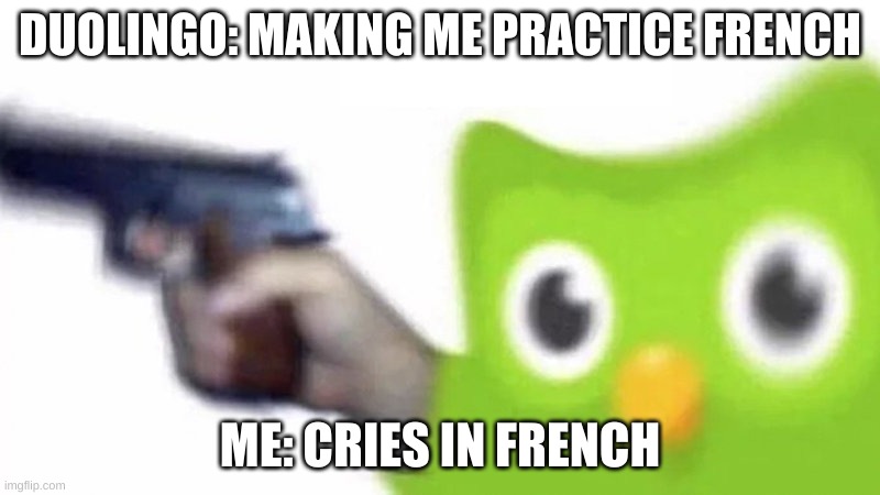 duolingo bird | DUOLINGO: MAKING ME PRACTICE FRENCH; ME: CRIES IN FRENCH | image tagged in duolingo gun | made w/ Imgflip meme maker