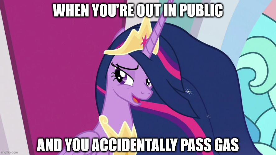 Those moments are always so embarassing | WHEN YOU'RE OUT IN PUBLIC; AND YOU ACCIDENTALLY PASS GAS | image tagged in mlp,twilight sparkle,fart joke,memes | made w/ Imgflip meme maker