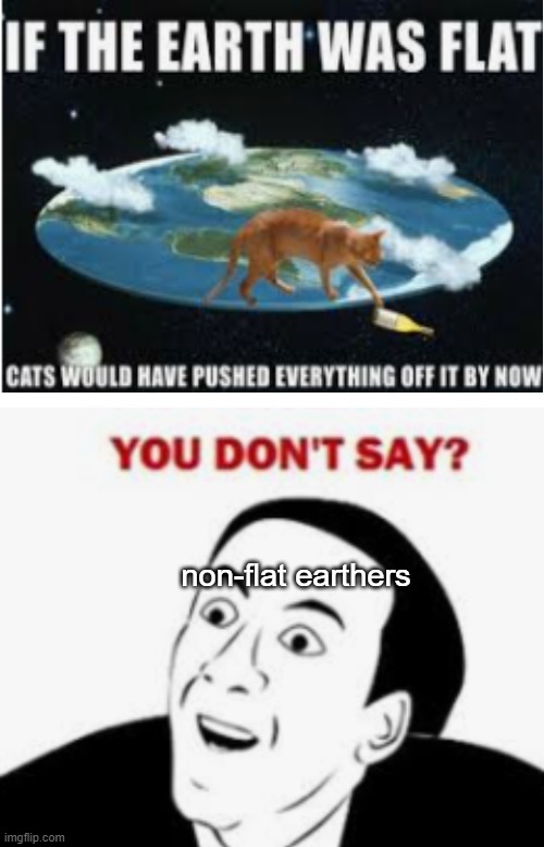 the world isnt flat | non-flat earthers | image tagged in blank white template,cats | made w/ Imgflip meme maker
