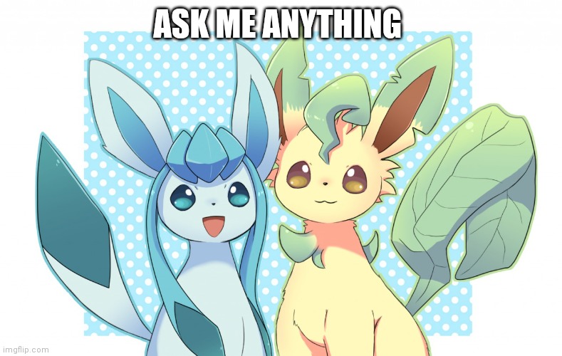 Glaceon x leafeon 4 | ASK ME ANYTHING | image tagged in glaceon x leafeon 4 | made w/ Imgflip meme maker