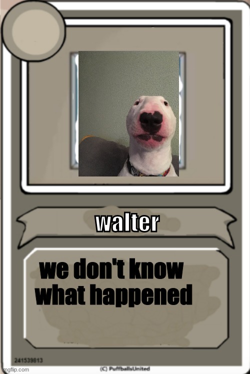 Character Bio | walter; we don't know what happened | image tagged in character bio,walterlore | made w/ Imgflip meme maker
