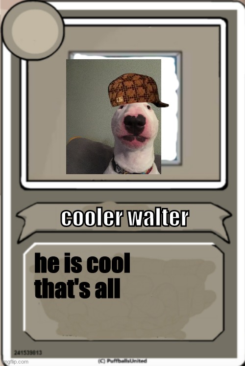 Character Bio | cooler walter; he is cool that's all | image tagged in character bio,walterlore | made w/ Imgflip meme maker