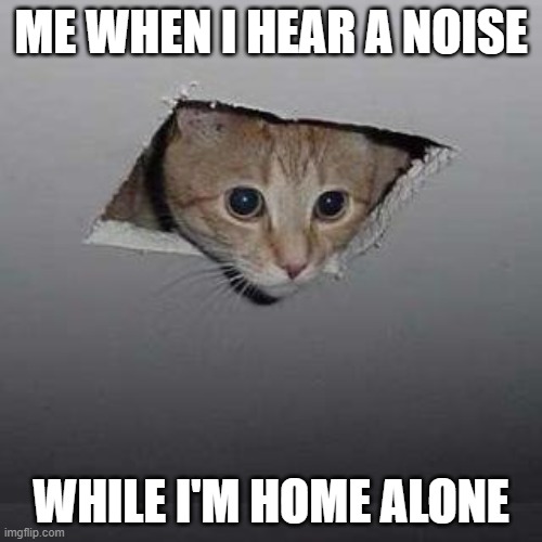 Scared | ME WHEN I HEAR A NOISE; WHILE I'M HOME ALONE | image tagged in memes,ceiling cat | made w/ Imgflip meme maker