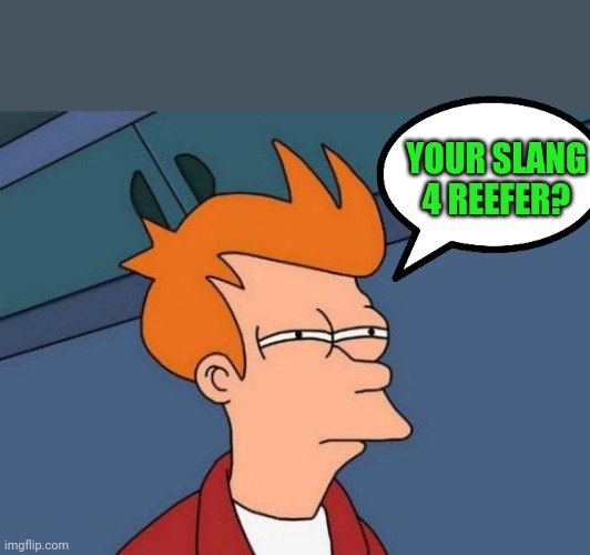 Futurama Fry | YOUR SLANG 4 REEFER? | image tagged in memes,futurama fry | made w/ Imgflip meme maker
