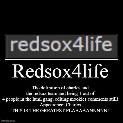 The true definition of RedSox4life (Sox i think) | image tagged in funny,demotivationals | made w/ Imgflip demotivational maker