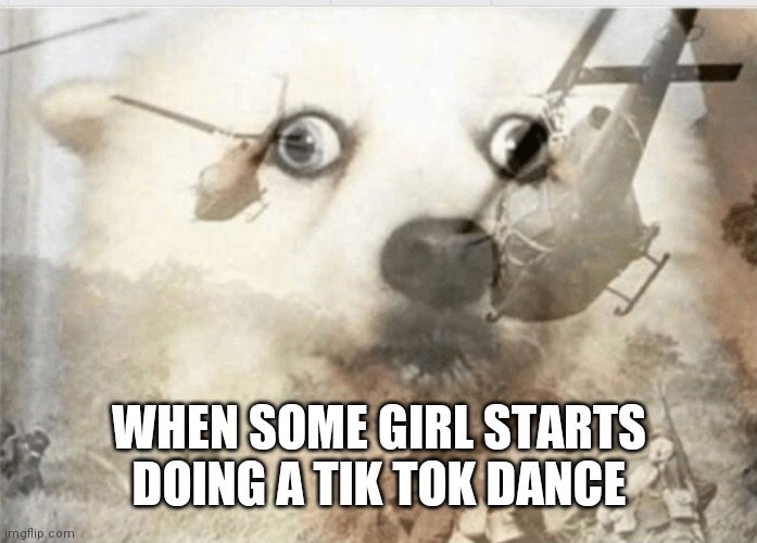 There's no camera either | WHEN SOME GIRL STARTS DOING A TIK TOK DANCE | image tagged in ptsd dog | made w/ Imgflip meme maker