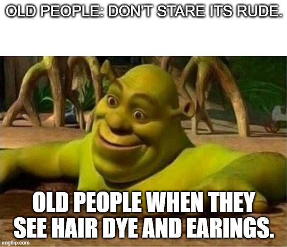 shrek | OLD PEOPLE: DON'T STARE ITS RUDE. OLD PEOPLE WHEN THEY SEE HAIR DYE AND EARINGS. | image tagged in shrek | made w/ Imgflip meme maker