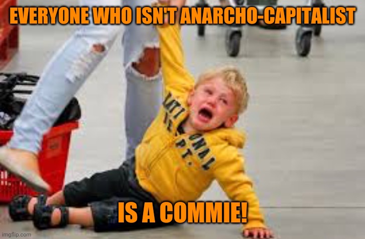 Tantrum store | EVERYONE WHO ISN'T ANARCHO-CAPITALIST IS A COMMIE! | image tagged in tantrum store | made w/ Imgflip meme maker