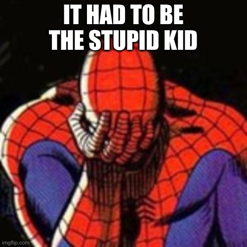 Sad Spiderman Meme | IT HAD TO BE THE STUPID KID | image tagged in memes,sad spiderman,spiderman | made w/ Imgflip meme maker