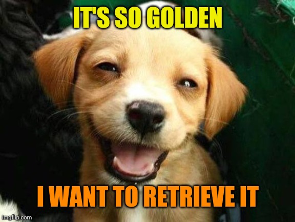 Dog Smiling | IT'S SO GOLDEN I WANT TO RETRIEVE IT | image tagged in dog smiling | made w/ Imgflip meme maker