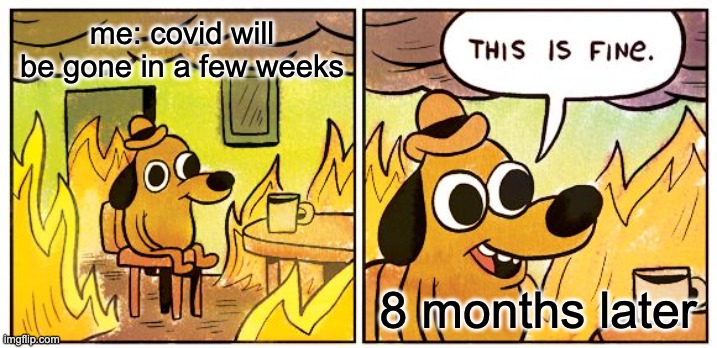 This Is Fine | me: covid will be gone in a few weeks; 8 months later | image tagged in memes,this is fine | made w/ Imgflip meme maker