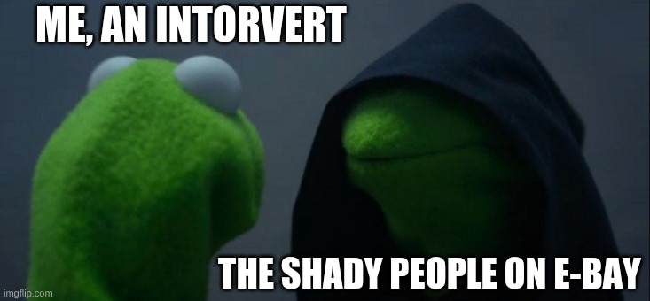 Evil Kermit | ME, AN INTORVERT; THE SHADY PEOPLE ON E-BAY | image tagged in memes,evil kermit | made w/ Imgflip meme maker