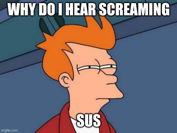 idk what to put | WHY DO I HEAR SCREAMING; SUS | image tagged in memes,futurama fry | made w/ Imgflip meme maker