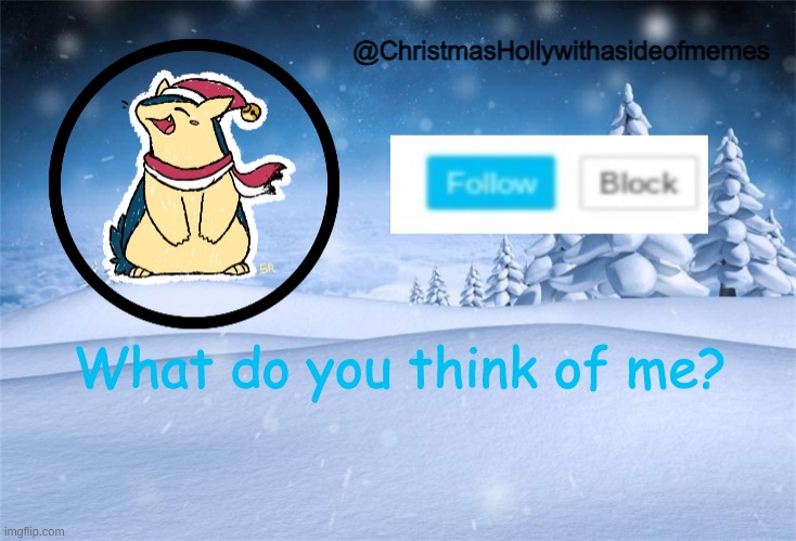 christmas holly | What do you think of me? | image tagged in christmas holly | made w/ Imgflip meme maker